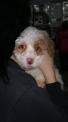 Pet Store «Pets Plus», reviews and photos, 5054 Old Taylor Mill Rd, Taylor Mill, KY 41015, USA