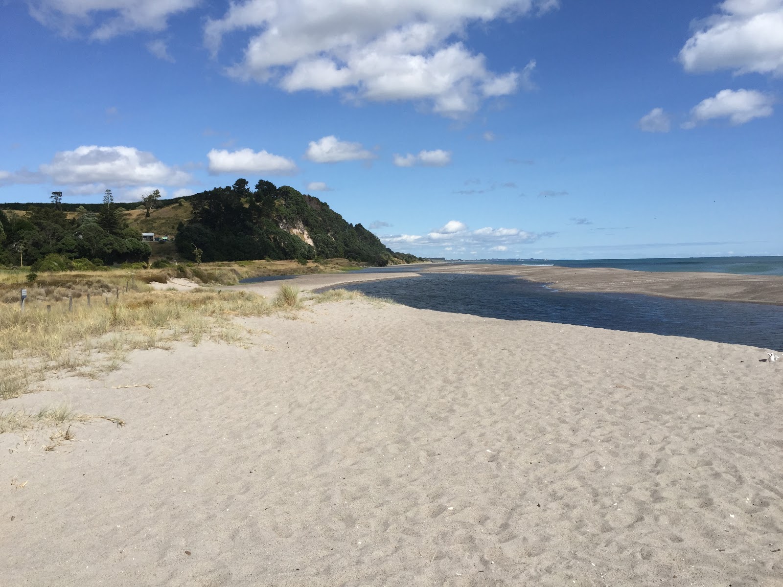 Photo de Pikowai Beach et le règlement