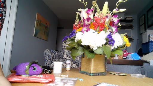 Florist «Columbia Florist», reviews and photos, 210 W 231st St, Bronx, NY 10463, USA