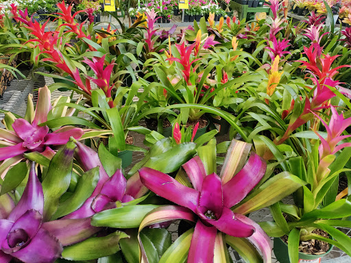 Home Improvement Store «The Home Depot», reviews and photos, 3401 Oakwood Blvd, Hollywood, FL 33020, USA