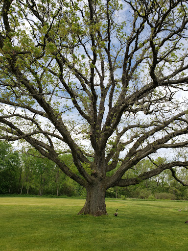 Golf Course «Indian Springs Metropark Golf», reviews and photos, 5100 Indian Trail, White Lake, MI 48386, USA