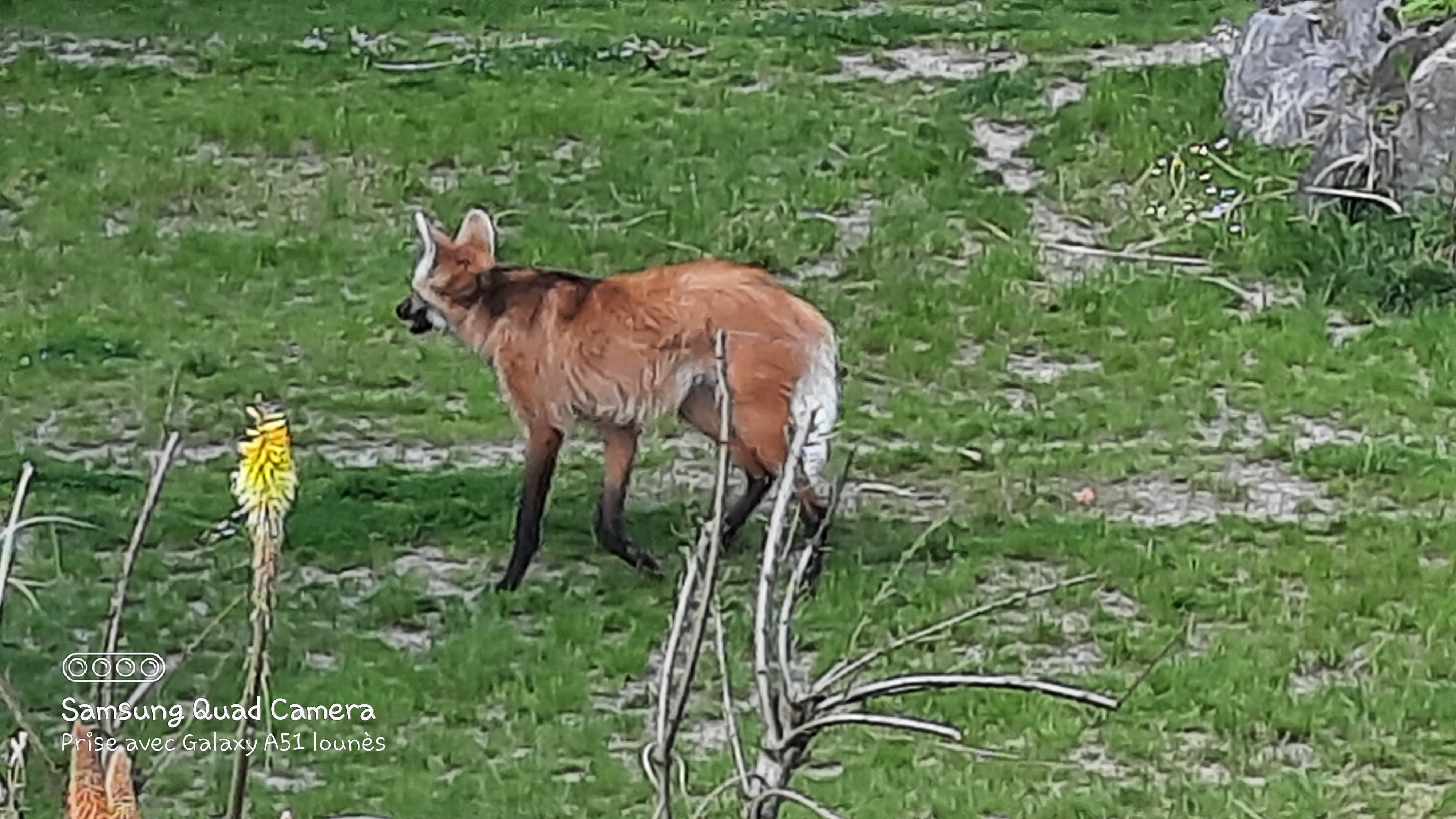 Photo n° 15 de l'avis de Lounes. fait le 02/06/2021 à 21:26