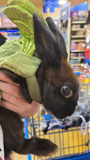 Shopping Mall «Northgate Mall Tullahoma», reviews and photos, 1600 N Jackson St, Tullahoma, TN 37388, USA