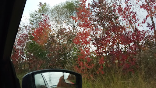 Variety Store «Five Below», reviews and photos, 6600 Spring Stuebner Rd Suite 156, Spring, TX 77389, USA