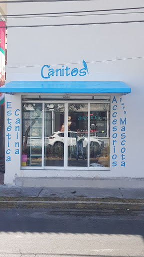 Canitos