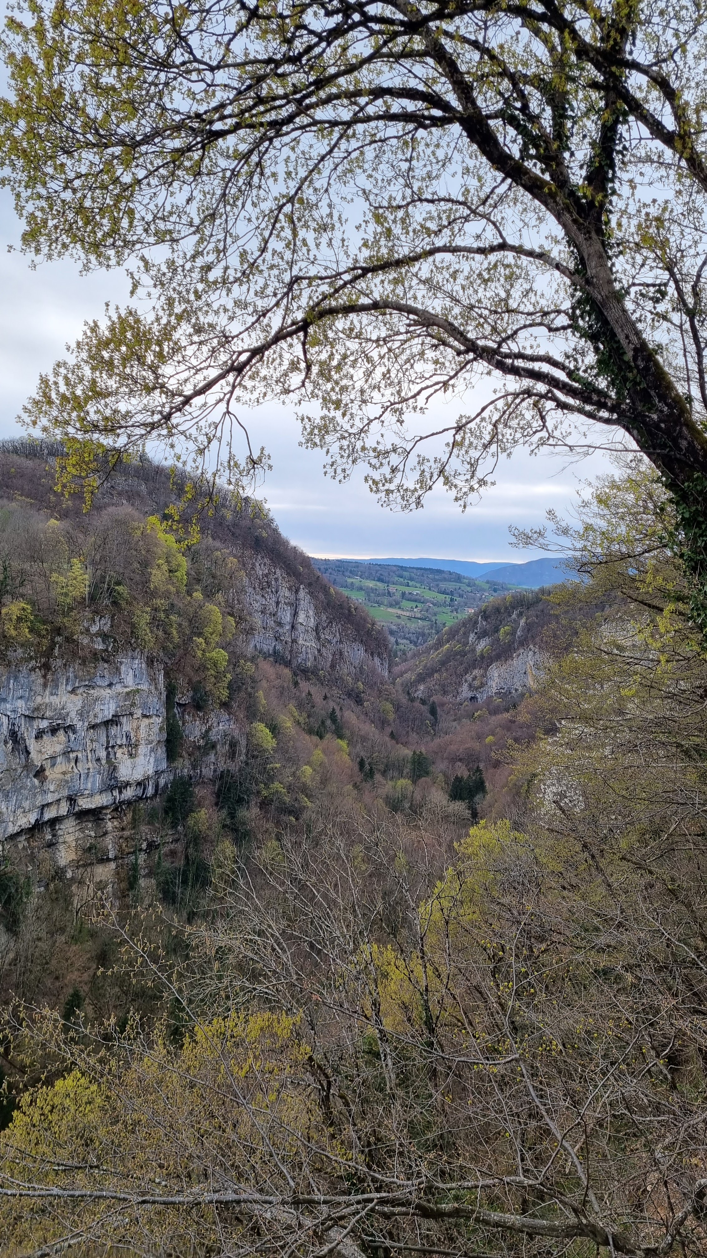 Photo n° 1 de l'avis de Tony.a fait le 06/04/2023 à 17:51