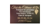 Service de taxi Taxi Des Coteaux d'Or 71150 Chagny