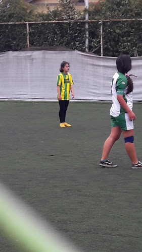Canchas De Futbolito - Campo de fútbol