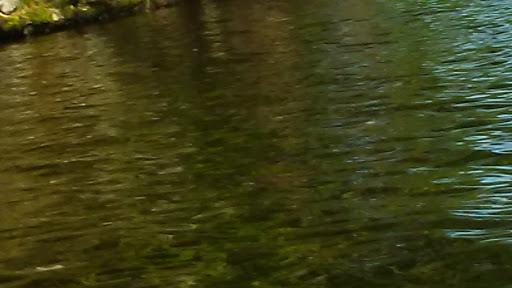 State Park «Cochituate State Park», reviews and photos, 43 Commonwealth Rd, Natick, MA 01760, USA