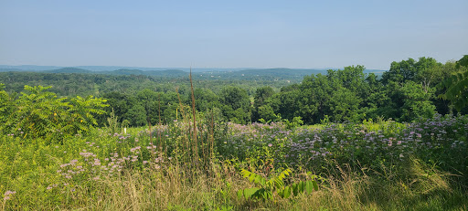 Dagmar Dale Loop Trail
