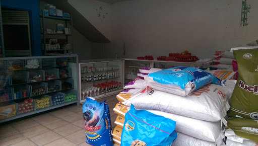 Distribuidora Veterinaria AV León