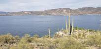 KaTrina The Notary AZ - Photo 2 - Car repair in , Surprise