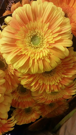 Florist «Purple Iris Flower Shop», reviews and photos, 2505 NJ-88, Point Pleasant, NJ 08742, USA