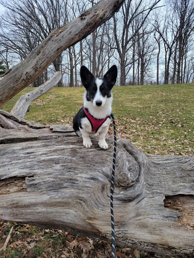 Pet Supply Store «Natural Pet Foods Co., Inc.», reviews and photos, 766 S Clinton Ave, Rochester, NY 14620, USA