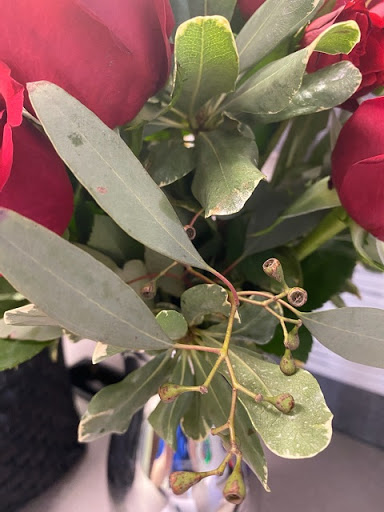 Florist «Floral Fashions», reviews and photos, 458 Wythe Creek Rd, Poquoson, VA 23662, USA