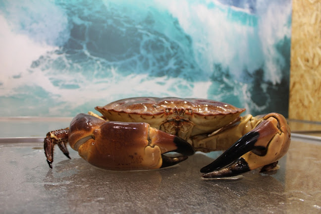 Avaliações doAveiramariscos em Azambuja - Restaurante