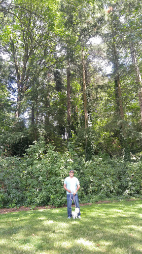 Park «Tukwila Park», reviews and photos, 15460 65th Ave S, Tukwila, WA 98188, USA