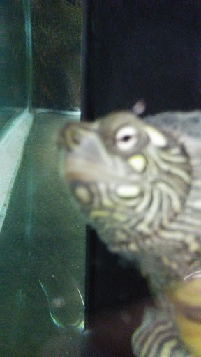 Pet Supply Store «Petco Animal Supplies», reviews and photos, 3215 Dredge Dr, Helena, MT 59602, USA