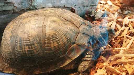 Science Museum «Connecticut Science Center», reviews and photos, 250 Columbus Blvd, Hartford, CT 06103, USA