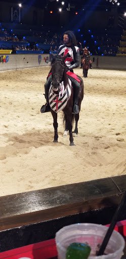 Dinner Theater «Medieval Times Dinner & Tournament», reviews and photos, 5900 Sugarloaf Pkwy #517, Lawrenceville, GA 30043, USA