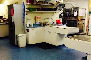 VCA Greater Savannah Animal Hospital image