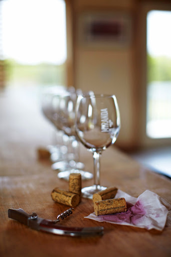 Vineyard «Miranda Vineyard», reviews and photos, 42 Ives Rd, Goshen, CT 06756, USA