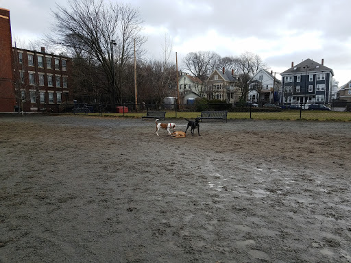 Park «Nunziato Field Dog Park», reviews and photos, Putnam St, Somerville, MA 02143, USA
