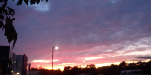 Community Park «Gregory B. Bott Community Park», reviews and photos, 24550 W Renwick Rd, Plainfield, IL 60544, USA