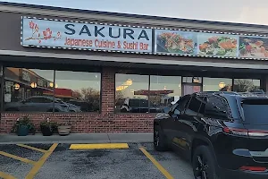 Sakura Japanese Cuisine & Sushi Bar image