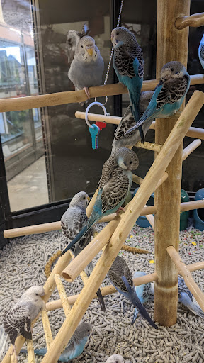 Pet Supply Store «Petco Animal Supplies», reviews and photos, 1933 South Rd, Poughkeepsie, NY 12601, USA