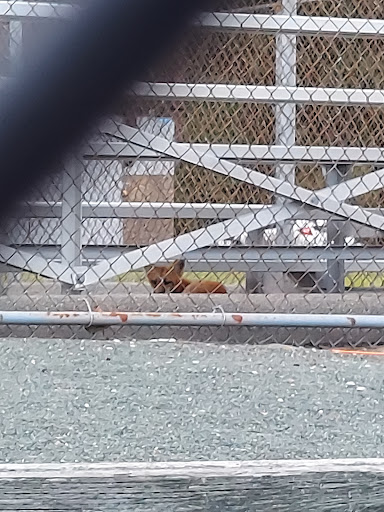 Recreation Center «Foxboro Recreation Department», reviews and photos, 80 South St, Foxborough, MA 02035, USA