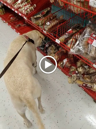 Pet Supply Store «Petco Animal Supplies», reviews and photos, 13741 S Tamiami Trail #2, Fort Myers, FL 33912, USA