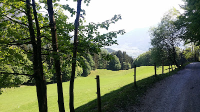 Hohberg à Oermingen