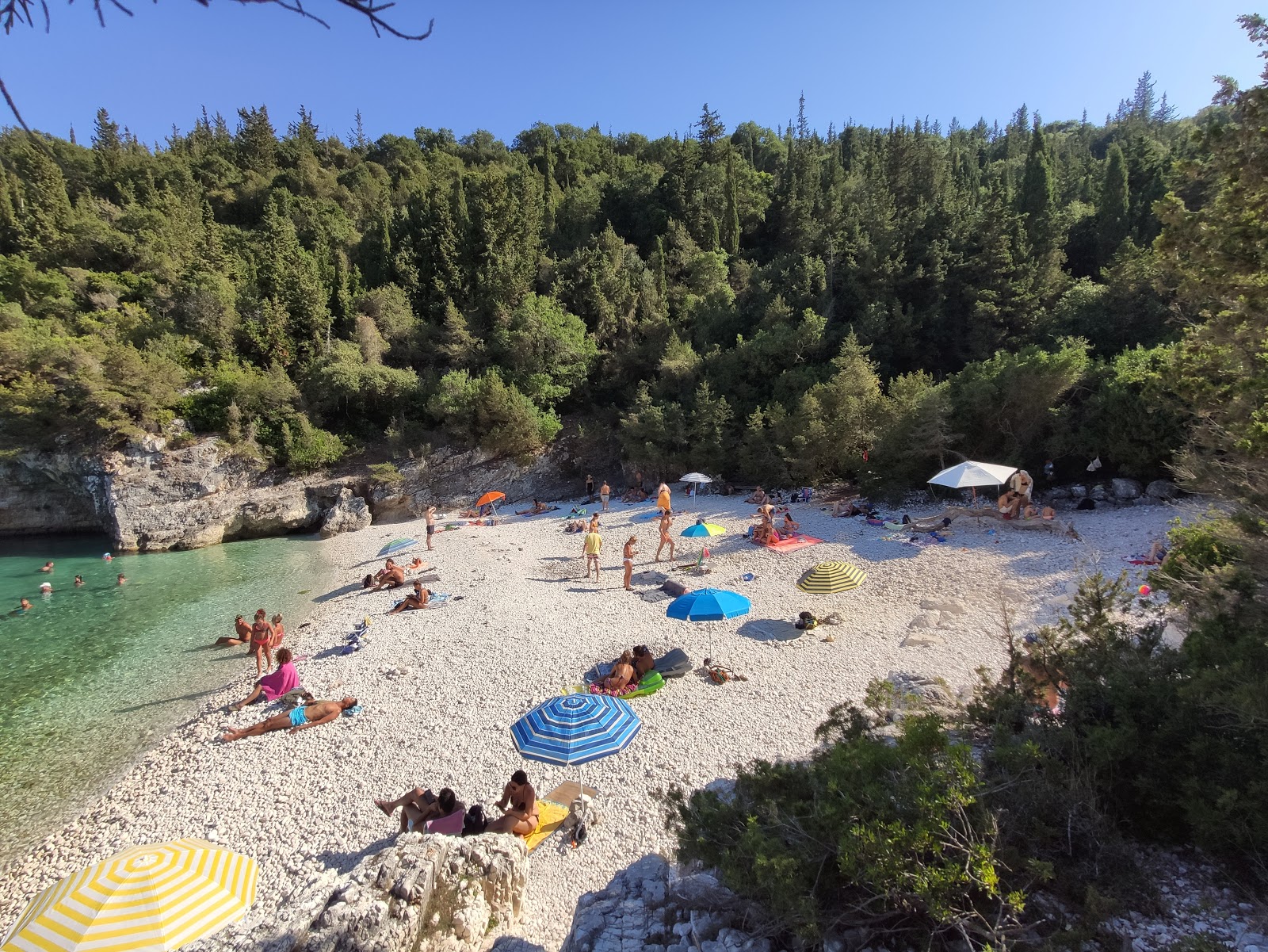 Dafnoudi beach'in fotoğrafı vahşi alan
