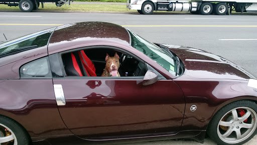 Auto Body Shop «Auto America Service», reviews and photos, 3860 S Four Mile Run Dr, Arlington, VA 22206, USA