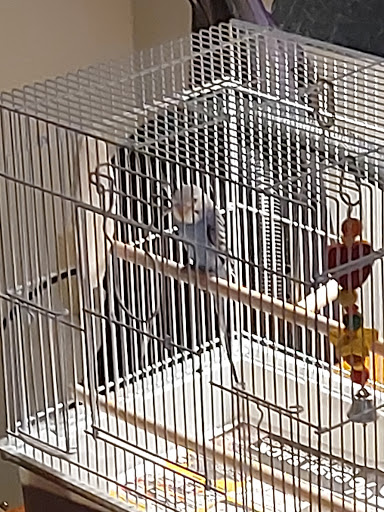 Pet Supply Store «Petco Animal Supplies», reviews and photos, 2520 E 3rd St, Bloomington, IN 47401, USA