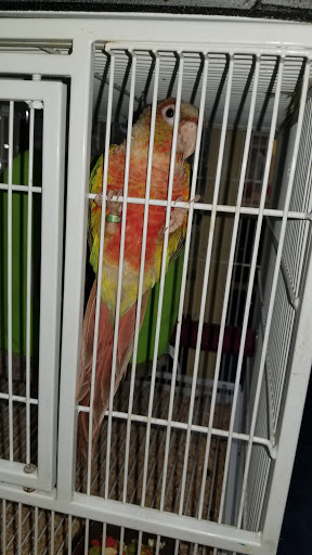 Pet Supply Store «Pet Supermarket», reviews and photos, 99 Eglin Pkwy NE #32a, Fort Walton Beach, FL 32548, USA