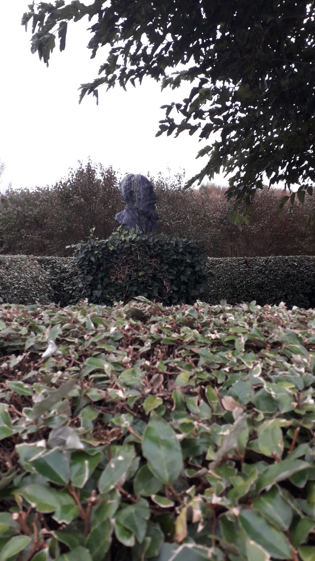 Photo n° 9 de l'avis de nanau. fait le 29/10/2021 à 10:49
