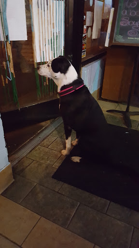 Live Music Venue «The Acoustic Coffeehouse», reviews and photos, 415 W Walnut St, Johnson City, TN 37604, USA