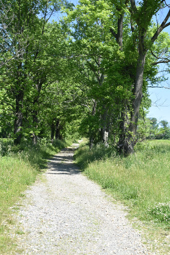 Tourist Attraction «The Underground Railroad Experience Trail», reviews and photos, 16501 Norwood Rd, Sandy Spring, MD 20860, USA