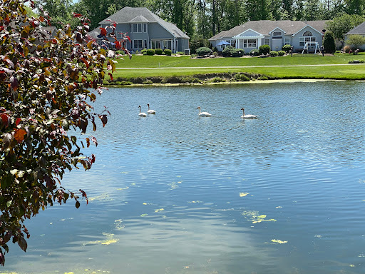 Golf Club «Grey Hawk Golf Club», reviews and photos, 665 US Grant St, Lagrange, OH 44050, USA