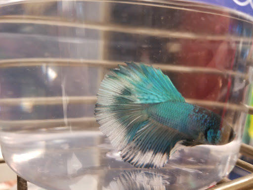 Pet Supply Store «Petco Animal Supplies», reviews and photos, 1400f 75th St, Downers Grove, IL 60516, USA