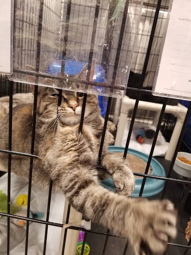 Pet Supply Store «PetSmart», reviews and photos, 3450 N Morrison Rd, Muncie, IN 47304, USA