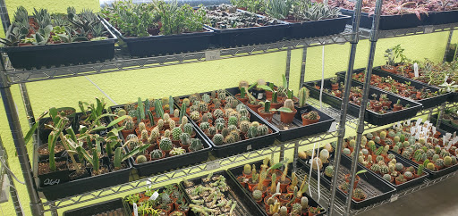 Pet Store «Tye-Dyed Iguana - Reptiles», reviews and photos, 1905 W U.S. 50, Fairview Heights, IL 62208, USA