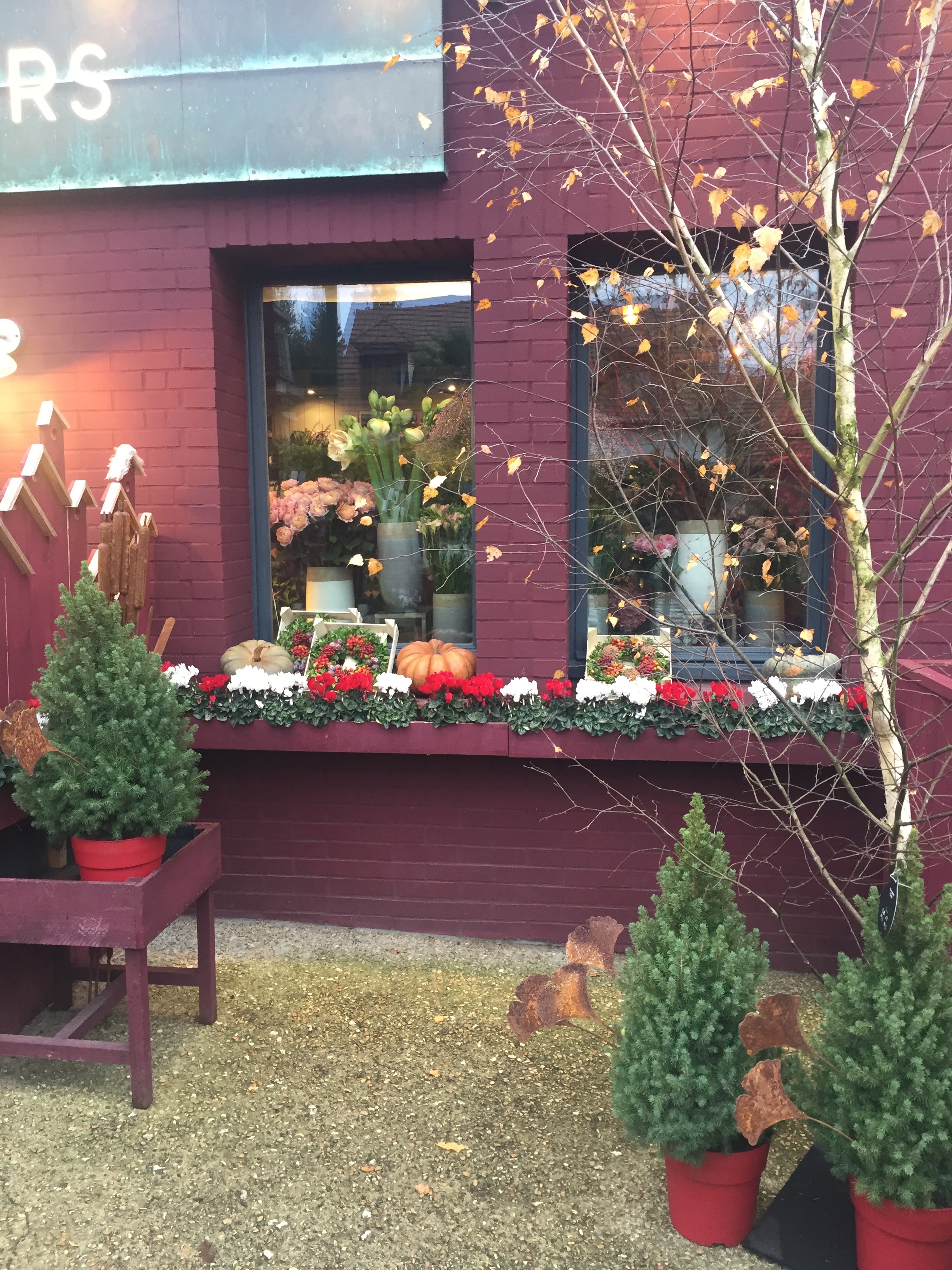 Photo n° 3 de l'avis de Garyncha. fait le 15/11/2018 à 15:33