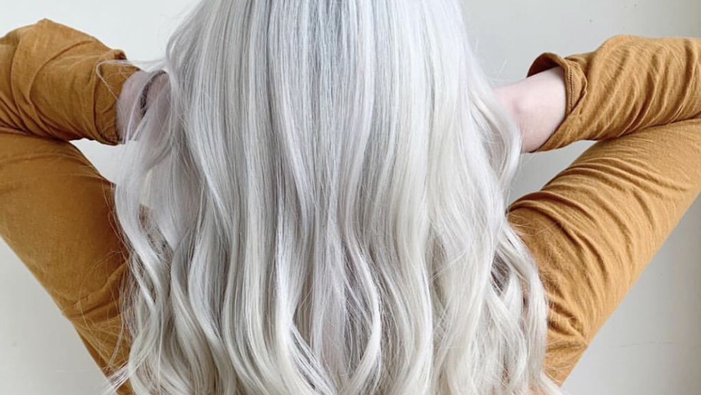 Shear Artistry Salon RC 91739