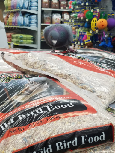 Pet Store «Pet Club South San Francisco», reviews and photos, 1 Chestnut Ave, South San Francisco, CA 94080, USA