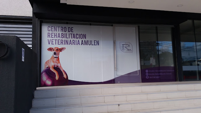 Centro de Rehabilitación Veterinaria AMULEN