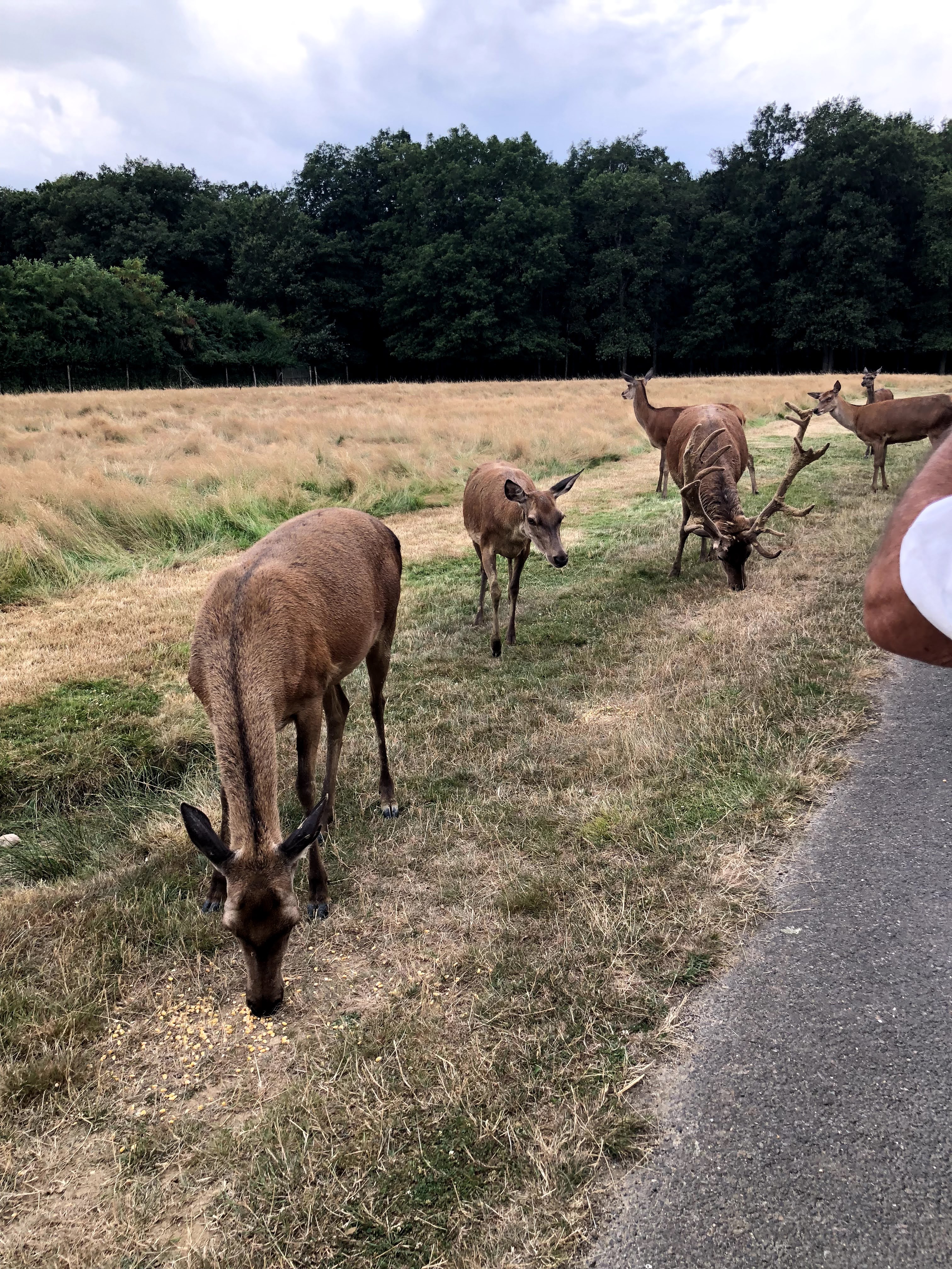 Photo n° 18 de l'avis de Julien.o fait le 27/07/2018 à 17:41