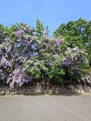 Hardware Store «Schneider Hardware», reviews and photos, 276 Main St, West Orange, NJ 07052, USA